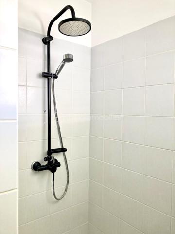 Studette de 20 m²
