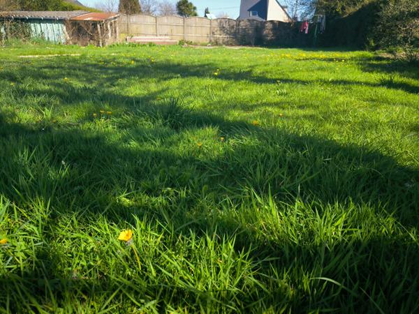 Idéal projet de construction : terrain à bâtir