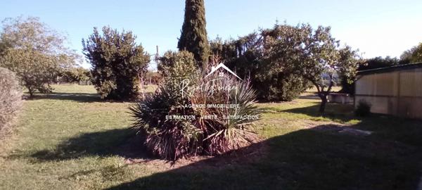 Vue dégagée sur l'espace extérieur avec un hangar