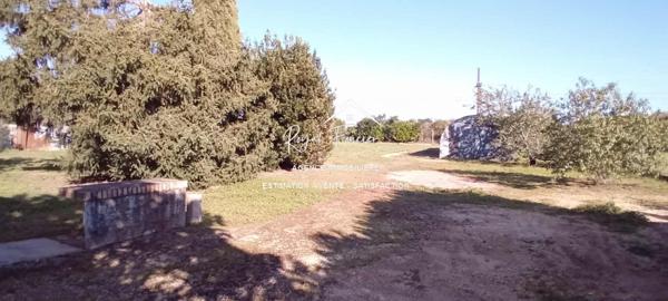 Vue dégagée sur l'espace extérieur avec un hangar