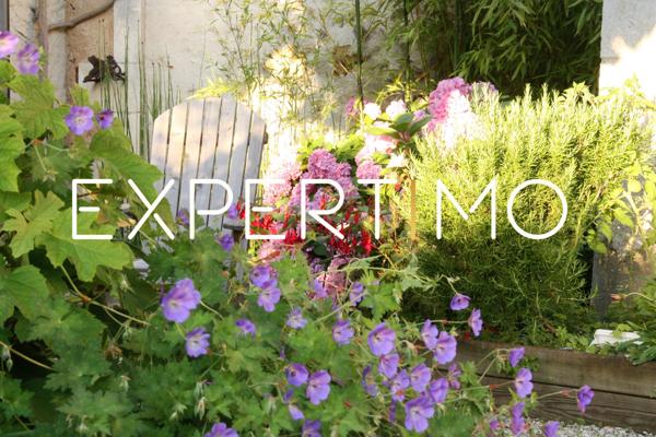 Fontaine-le-Comte (86240) Maison de caractère XIXè siècle, piscine, grange et beaux volumes