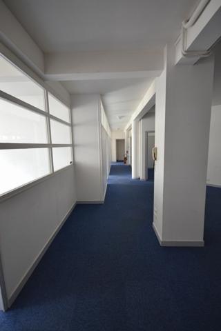 Location local commercial ou professionnel 10 pièce(s) 219 m²