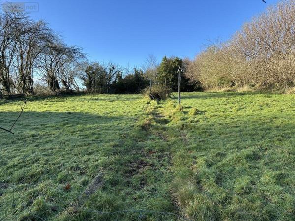 Maison à vendre à Sainte-Croix-Hague dans la Manche (50440), ref : 50040-714