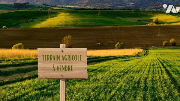 Terrain boisé non constructible