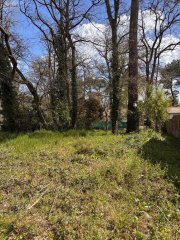 Langon, proche commodités, secteur