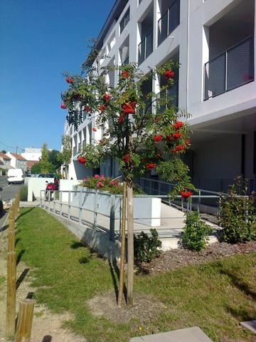 Appartement à louer à Saint-Herblain (44800)