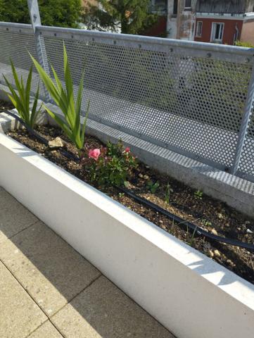 Appartement au marché central de Royan avec jardin et toit-terrasse, possibilité de garage
