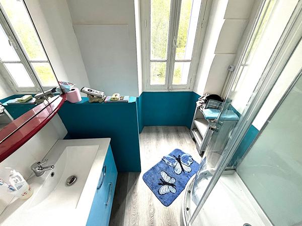 A VENDRE MAISON DE MAITRE/ IMMEUBLE LAVELANET SUR 4500 M2 de terrain