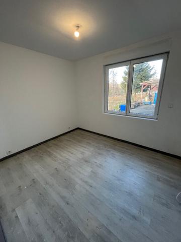 A VENDRE MAISON DE MAITRE/ IMMEUBLE LAVELANET SUR 4500 M2 de terrain