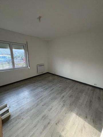 A VENDRE MAISON DE MAITRE/ IMMEUBLE LAVELANET SUR 4500 M2 de terrain