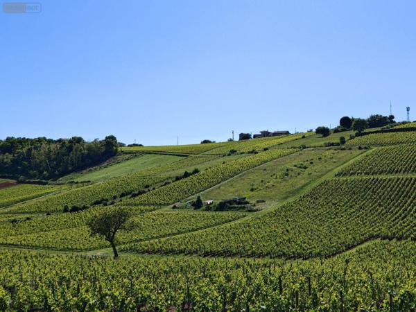 Terrain à Batir à vendre à Hurigny en Saône-et-Loire (71870), ref : TAB 89