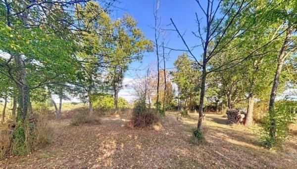 Maison 5 pièces 110 m² – Terrain 9 114 m² – Doyet