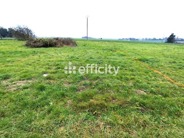 Terrain - 2250 m² Exclusivité efficity