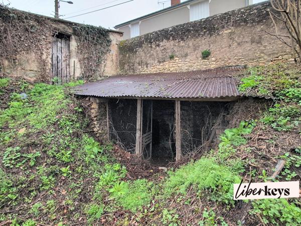 Montreuil-Bellay – Ensemble immobilier avec fort potentiel, vue sur le Thouet, terrain de 1 473 m², maison + maisonnette indépendante + caves troglodytes