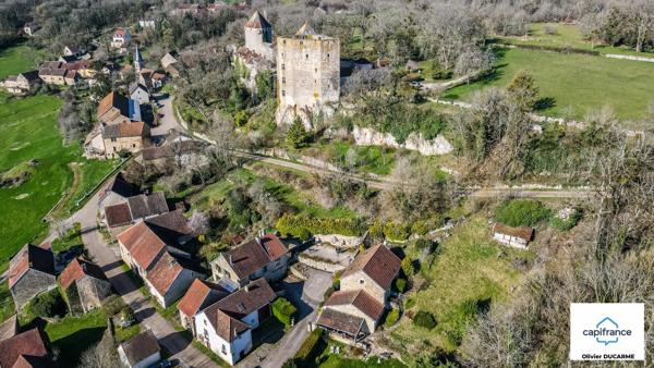 Murs et fonds : gite, chambres d'hôtes et table d'hôtes à vendre CHAUDENAY LE CHATEAU (21)