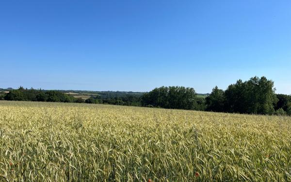 Maison à vendre    5 pièces •  Plouhinec