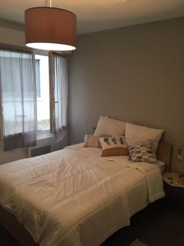 Immeuble Saint Sebastien Sur Loire : Commerce + 2 studios + colocation T4