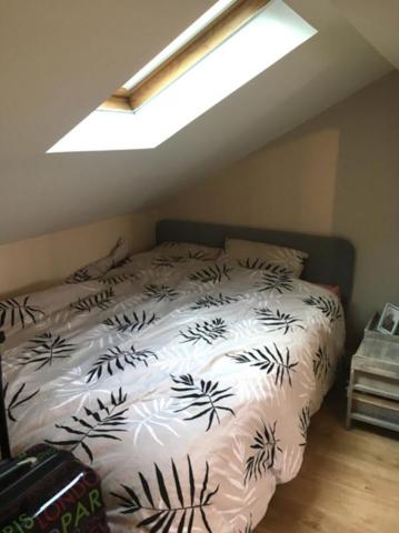 Immeuble Saint Sebastien Sur Loire : Commerce + 2 studios + colocation T4