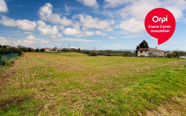 Terrain à vendre    Montredon-Labessonnié