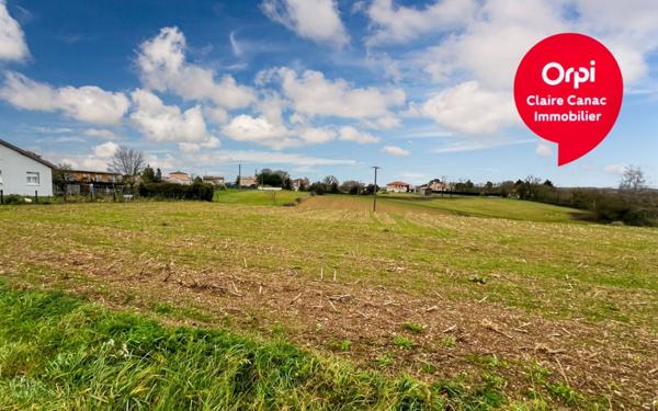 Terrain à vendre    Montredon-Labessonnié