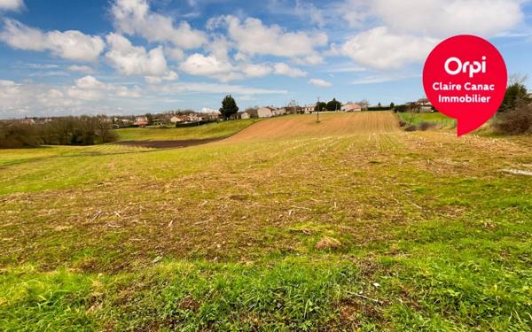 Terrain à vendre    Montredon-Labessonnié