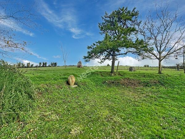 Venez découvrir sans plus tarder cette charmante maison idéalement située à proximité immédiate du bourg, à seulement 7 minutes de l'axe Nantes?Cholet et 15 minutes de Clisson.
