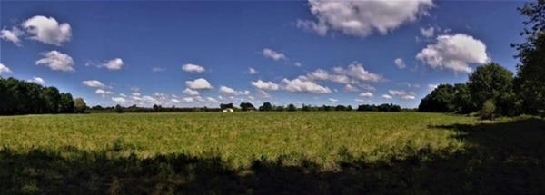 Terrain agricole plat d'un seul tenant de 12 hectares avec forêt d'un hectare en sus