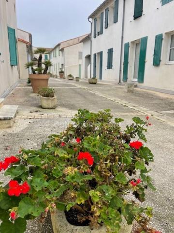 Appartement 2 pièces SAINT MARTIN DE RE 17410