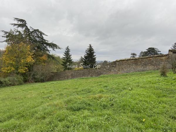 Terrain