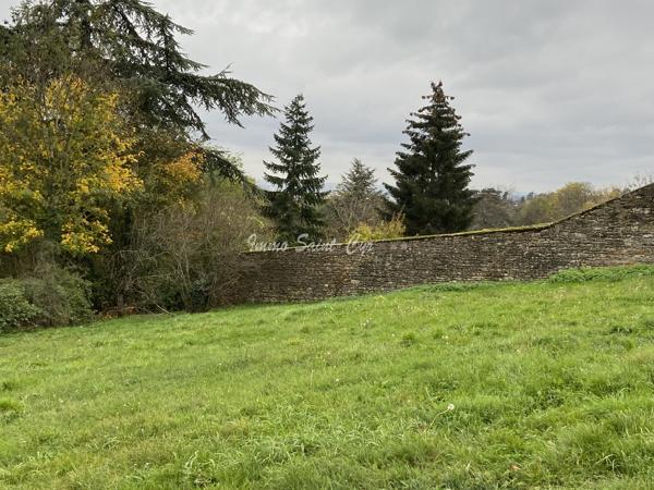 Terrain