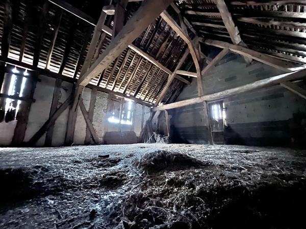 EXCLUSIVITÉ - GRANGE - VINEUIL CENTRE