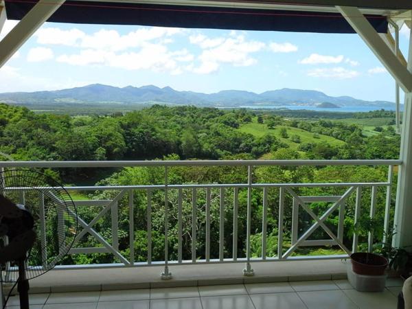 À Ducos, votre investissement idéal vous attend