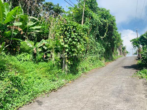 Terrain de 475 m²
