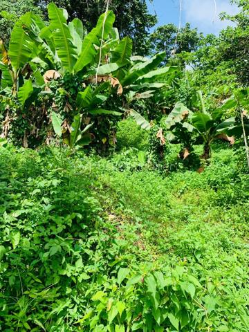 Terrain de 475 m²