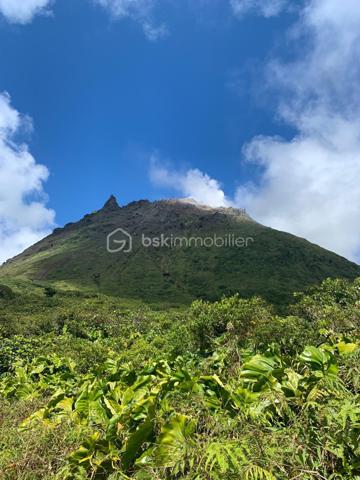 Terrain de 475 m²