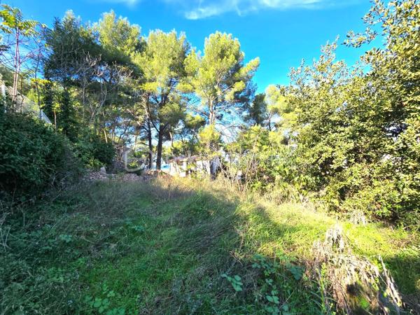 Ce terrain constructible de 1468m², rare à Sète, est situé sur la face nord du Mont Saint-Clair et offre une vue dégagée sur l’étang de Thau. Il est une opportunité rare et prisée sur le marché local.

L’accès au terrain se fait par un droit de passage, suivi d’une descente en pente pour y accéder. 

Un permis de construire est déjà validé, et le projet architectural signé Pierre Di Tucci est un atout supplémentaire pour concrétiser votre projet. De plus, des perspectives du projet sont ajoutées en photos pour vous aider à mieux vous projeter dans ce terrain et visualiser son potentiel.

Ce bien dispose d’une emprise au sol de 11% avec une hauteur de la construction est limitée à 6 m, mesurée à partir du point le plus bas, que ce soit au niveau de l’égout. 
Possibilité de l’installation d’une piscine à 5 mètres des limites séparatives, ainsi que deux places de stationnement privatives. 

Les travaux nécessaires incluent le débroussaillage, le terrassement, l’assainissement et les raccordements (eau et électricité).

De plus, un terrain adjacent de 1419 m², avec les mêmes dispositions, est également à vendre au même prix de 395 000 euros. En réunissant les deux parcelles, vous disposerez d'un terrain total de 2887 m², offrant ainsi encore plus de possibilités pour votre projet, comme l’agrandissement de la construction, la création de jardins spacieux ou d'autres aménagements extérieurs.

Pour toute information complémentaire ou pour organiser une visite, je reste à votre disposition.