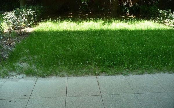 Appartement à louer    2 pièces •  Ermont