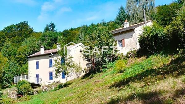 2 maisons sur 1 hectare de terrain à Plombières