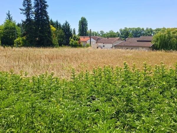 Terrain à vendre de 2 099,00 m² MALAUSE (82)
