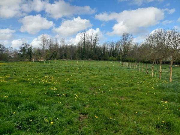 Terrain constructible