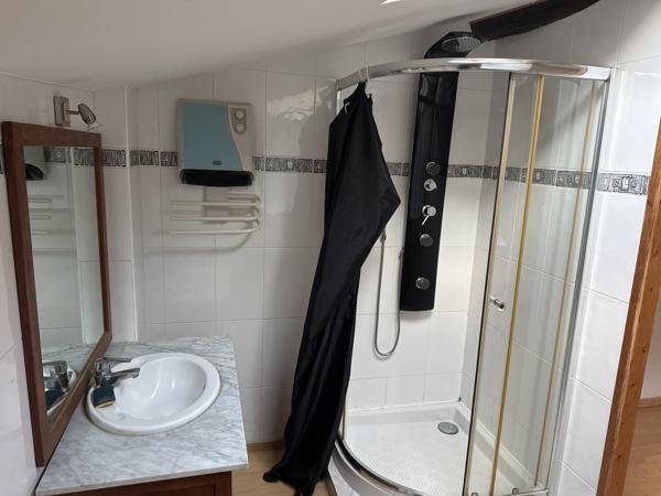 APPARTEMENT T2 DUPLEX DE 31.50M² - CENTRE-VILLE TARARE