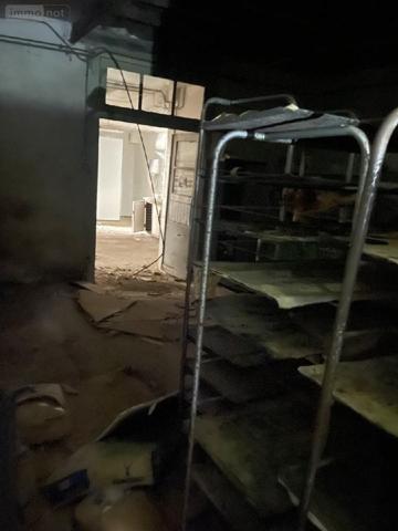 Local mixte (Professionnel/Habitation) à vendre à Ribérac en Dordogne (24600), ref : 077/1632