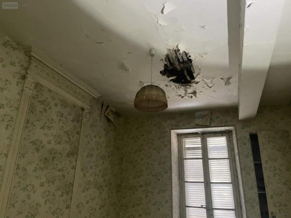 Local mixte (Professionnel/Habitation) à vendre à Ribérac en Dordogne (24600), ref : 077/1632