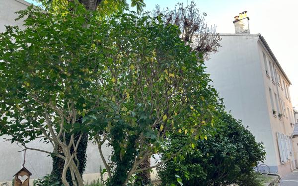 Appartement à louer    2 pièces • 31,60 m2 Paris 12