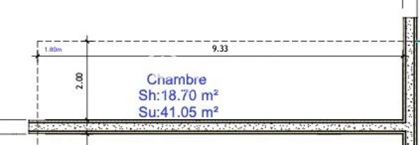 PLATEAU EN DUPLEX DE 60 M2 ENV.