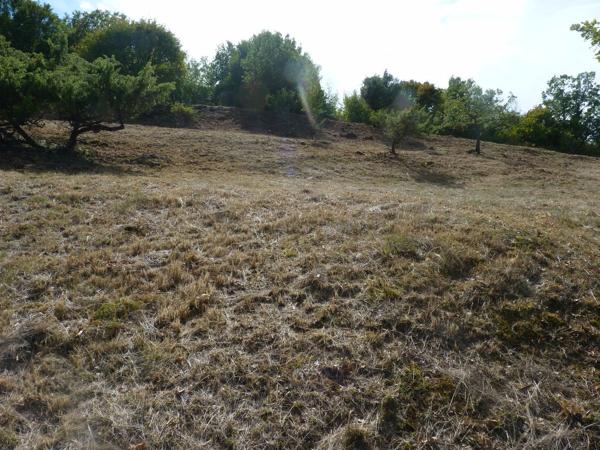 A VILLEMUS, SUPERBE TERRAIN CONSTRUCTIBLE DE 1 628 m²