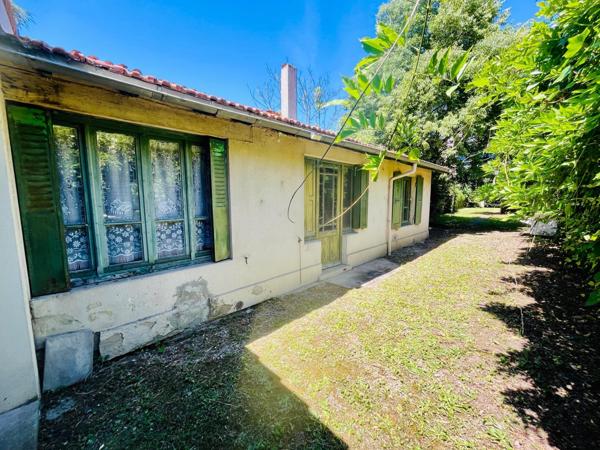 Bel ensemble immobilier avec jardin (200/220m2)