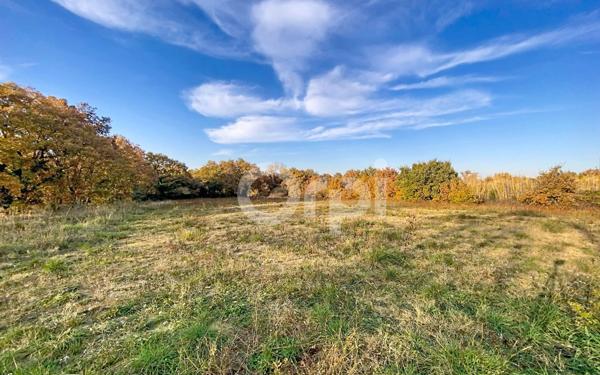 Terrain à vendre    Fourques