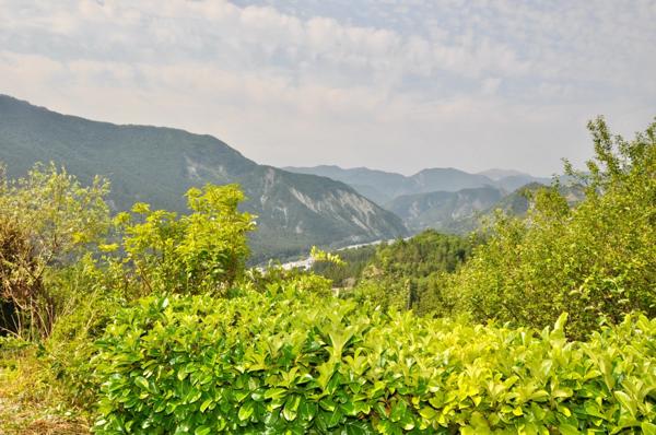 Dpt Alpes de Haute Provence (04), Proche ENTREVAUX à vendre Maison plain pied 2 pièces 50 m² sur 3400 m² de Terrain