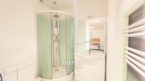 Appartement duplex avec terrasse Chalonnes-sur-Loire (49290)